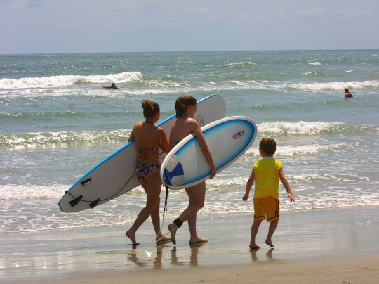 Surfing Lessons