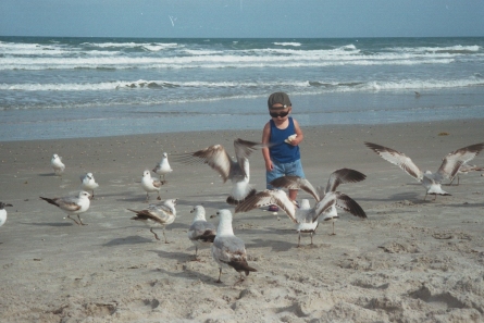 Feeding birds